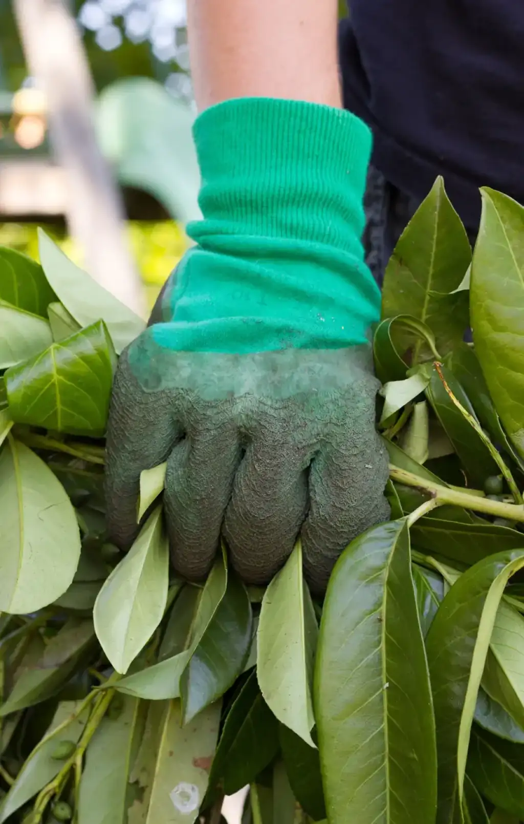 Quels sont les avantages environnementaux de l'évacuation responsable des déchets verts ?