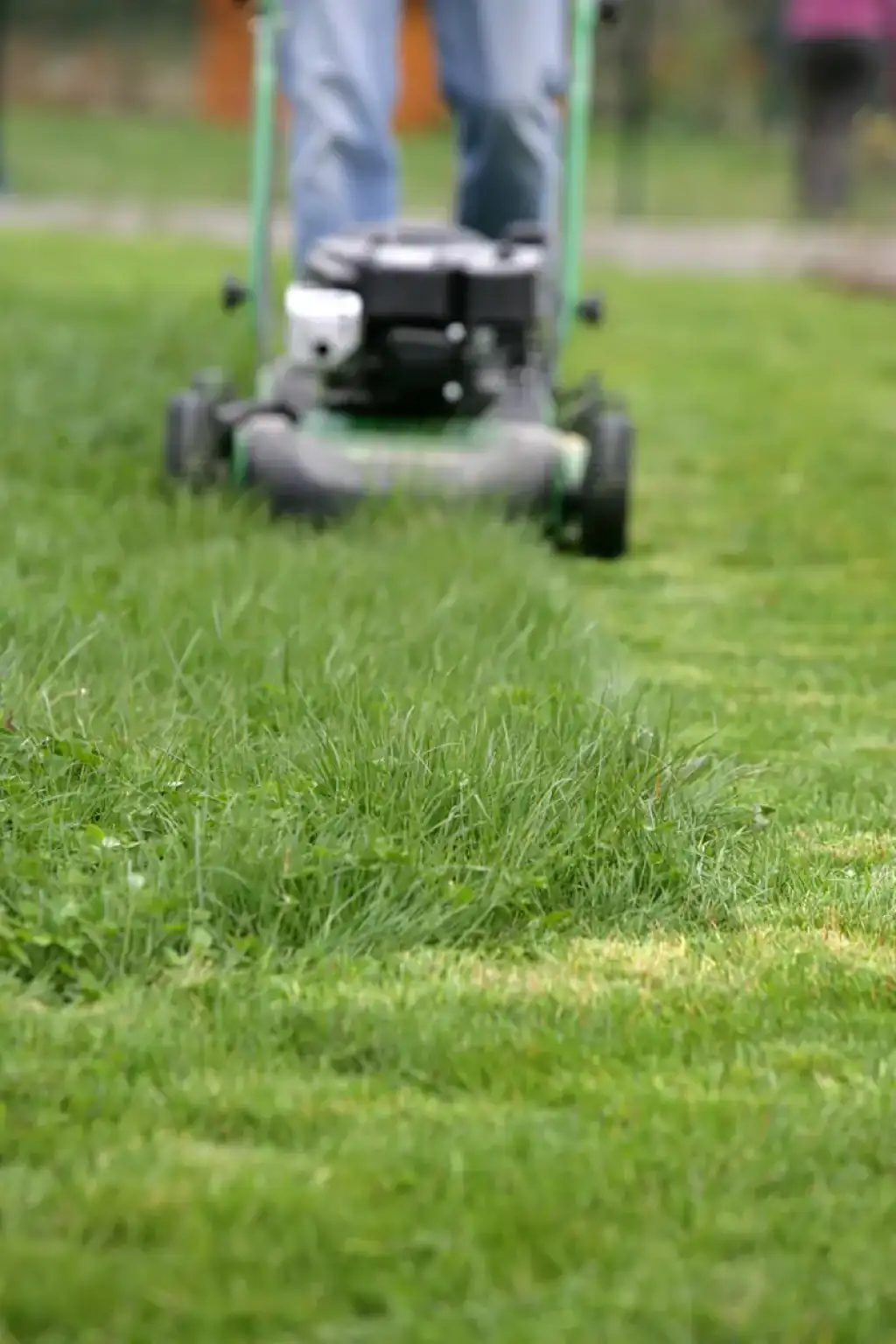 Les Pratiques Durables pour un Jardin Écologique