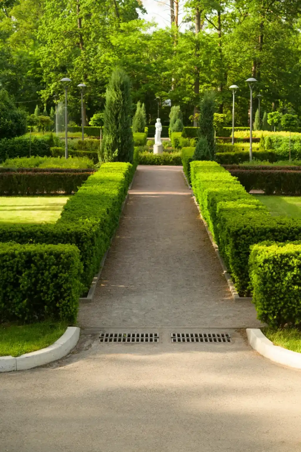 Transformez Votre Jardin en Paradis Vert