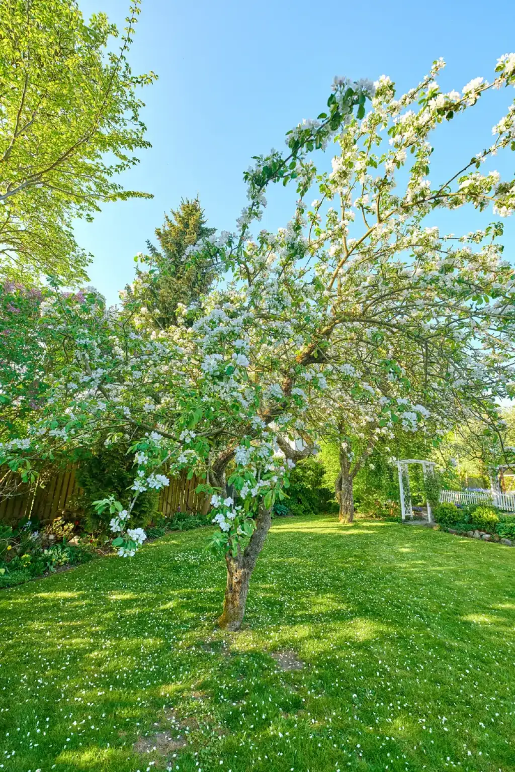 Un Jardin Éclatant de Beauté et de Santé !