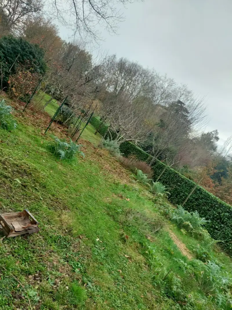 Tonte avec ramassage à Saint-Quirc : Gene’Espaces Verts, experts en entretien paysager