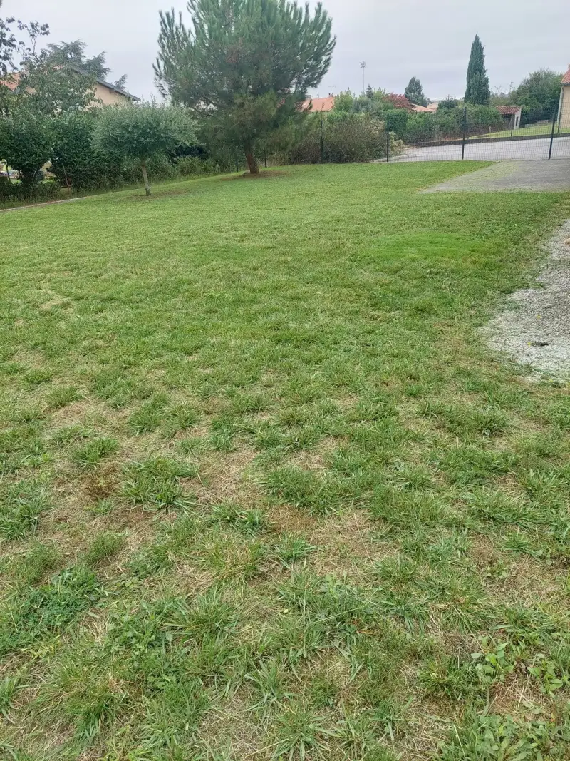 Tonte d'un espace santé à Mazères