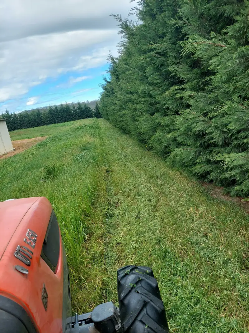 Débroussaillage d'un grand jardin à Pamiers